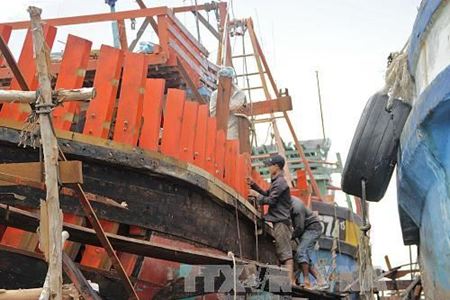 Cà Mau phê duyệt cho vay đóng mới 71 tàu theo Nghị định 67 