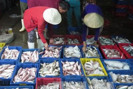 Sản lượng đánh bắt hải sản của Ninh Thuận và Bình Thuận đạt gần 270.000 tấn